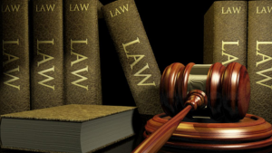 Đôi nét về ngành Luật Kinh tế