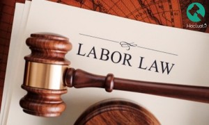 Tư vấn luật lao động